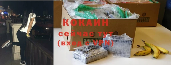 винт Арсеньев