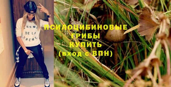 винт Арсеньев