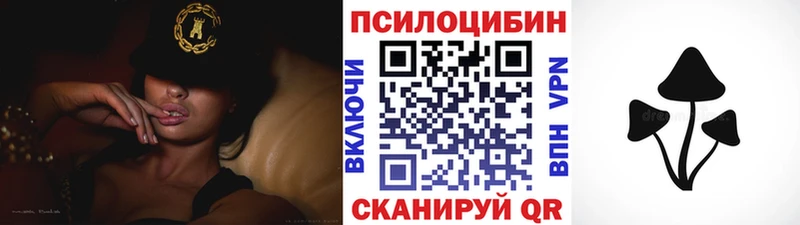 Псилоцибиновые грибы GOLDEN TEACHER  Краснознаменск 